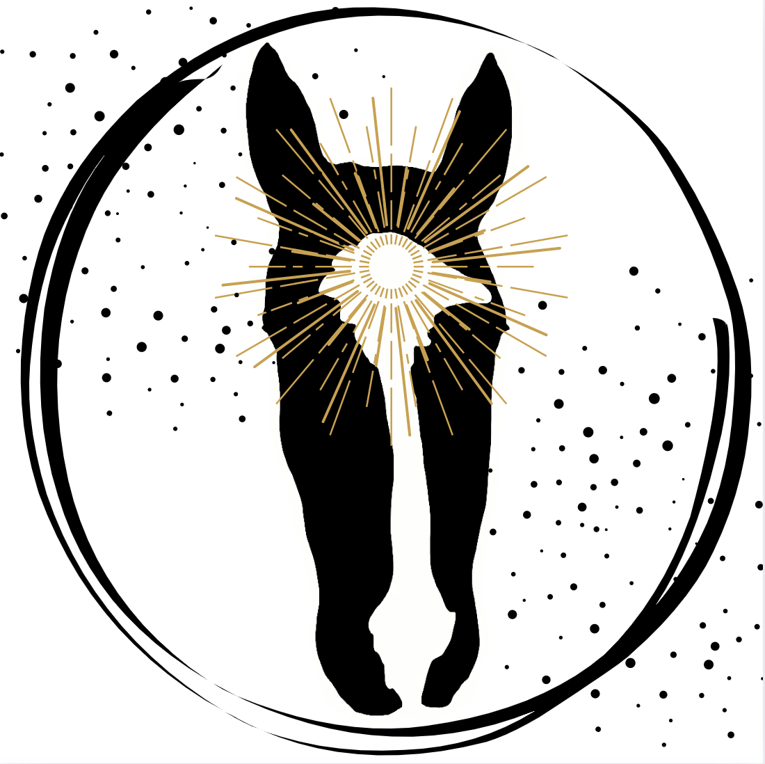 Logo DacatoS Light