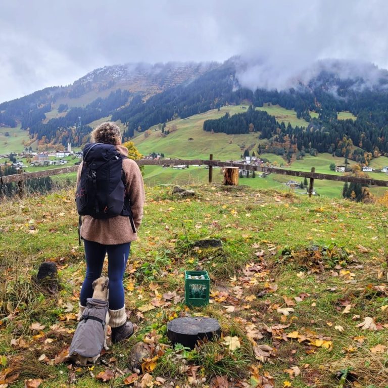 Person mit Rucksack steht auf einer Wiese mit Bergen und herbstlichen Farben im Hintergrund.